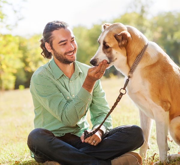 Man and central Asian shepherd walk in the park. He keeps the dog on the leash.